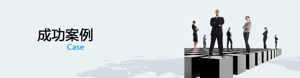 成功案例